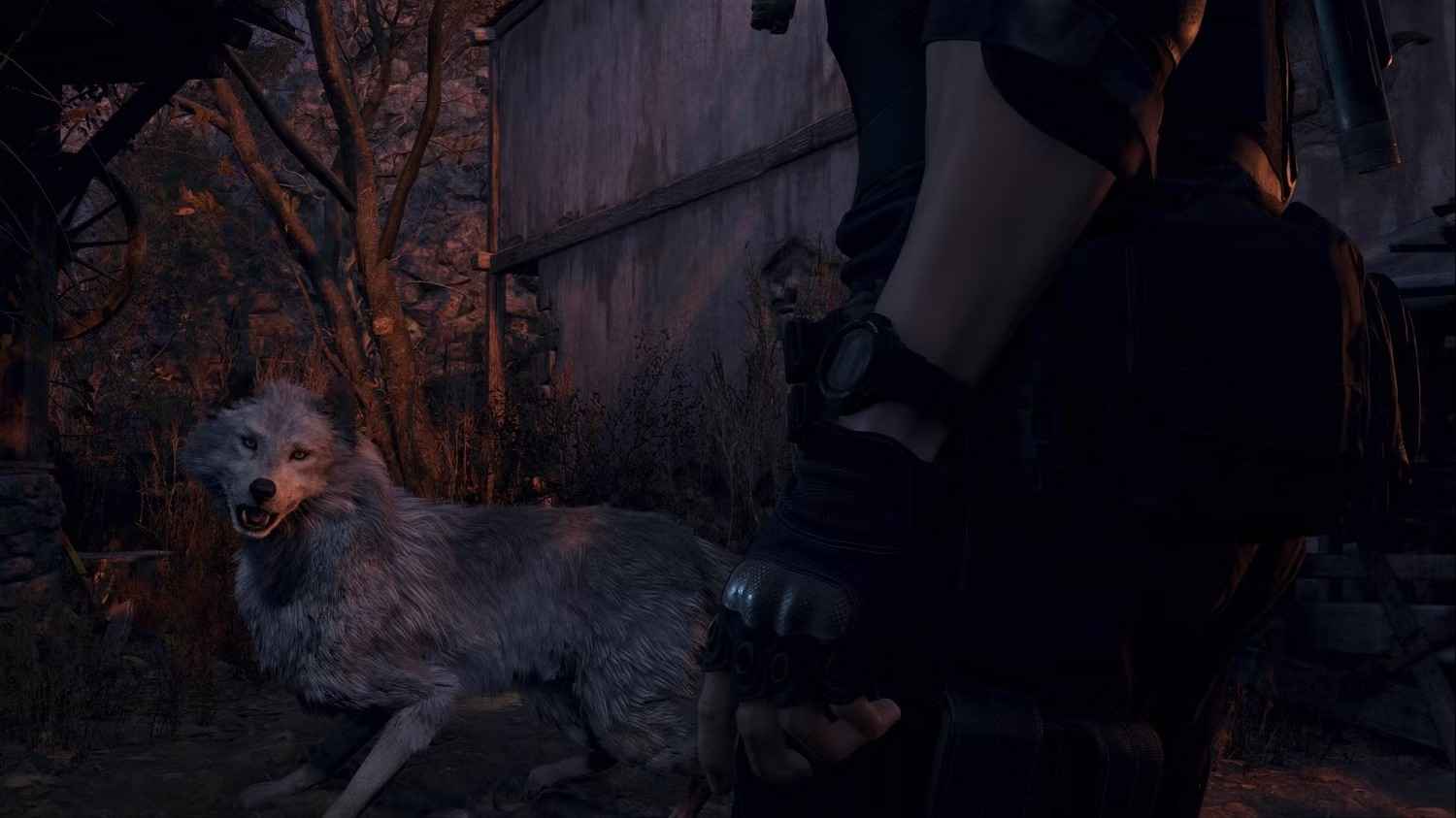 Как спасти собаку в Resident Evil 4 Remake